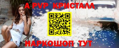 СК Кингисепп