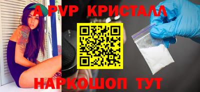 СК Кингисепп