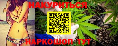 СК Кингисепп