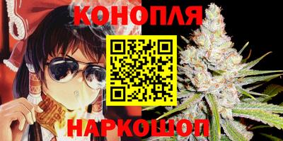 СК Кингисепп