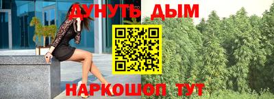 СК Кингисепп