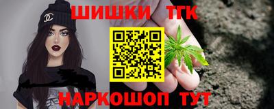 СК Кингисепп