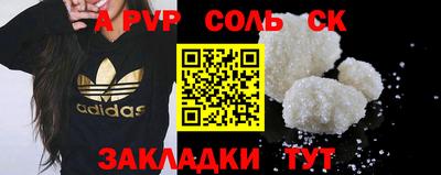СК Кингисепп