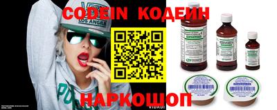 СК Кингисепп