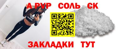 СК Кингисепп